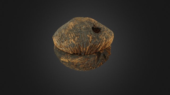 505-thumbnail.jpg