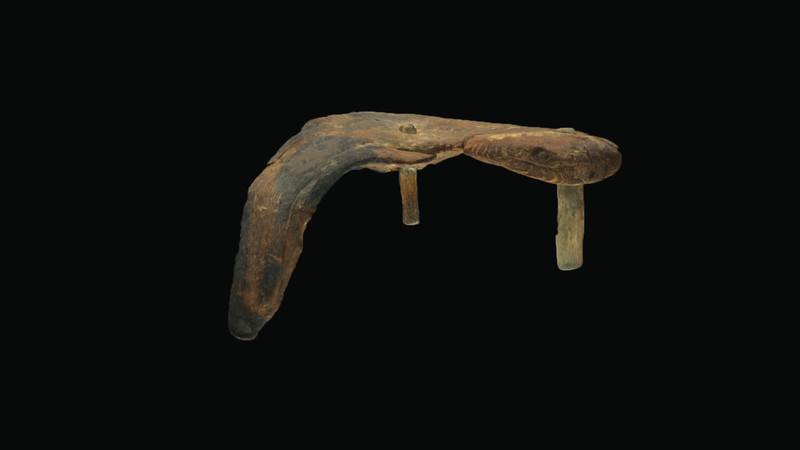 bog_stool_image3d-thumbnail.jpg