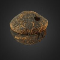 505-thumbnail.jpg